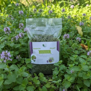 menthe pouliot séchée