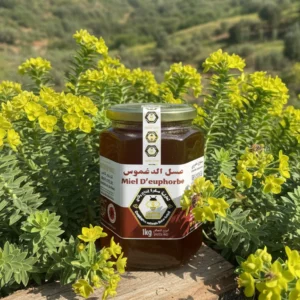 miel d’euphorbe 1kg